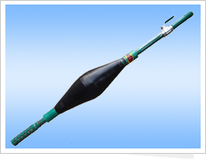 ��˹��ŷ����