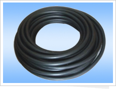 ���͙C(j��)�����z��